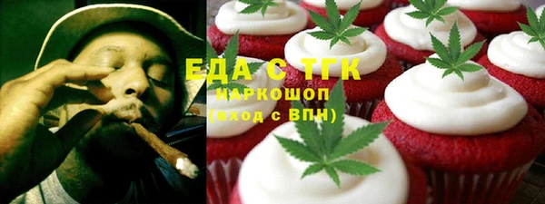 индика Алзамай