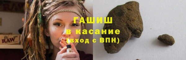 индика Алзамай
