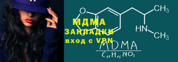 индика Алзамай