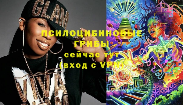 индика Алзамай