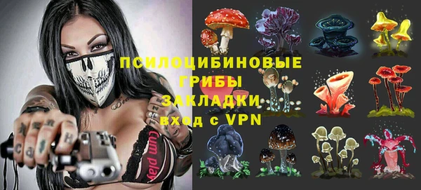 гашик Алексеевка