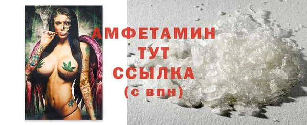 гашик Алексеевка