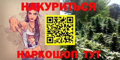мет Кингисепп