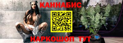 мет Кингисепп