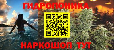 каннабис Кимры