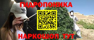 каннабис Кимры