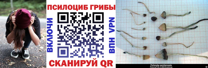 Псилоцибиновые грибы прущие грибы  Красноармейск 