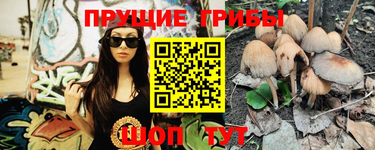 Красноармейск  Галлюциногенные грибы GOLDEN TEACHER  Вход с VPN 